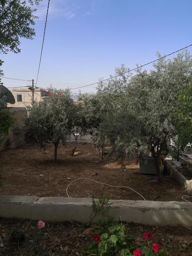 White Tulips الزنبقة البيضاء Apartment Jarash