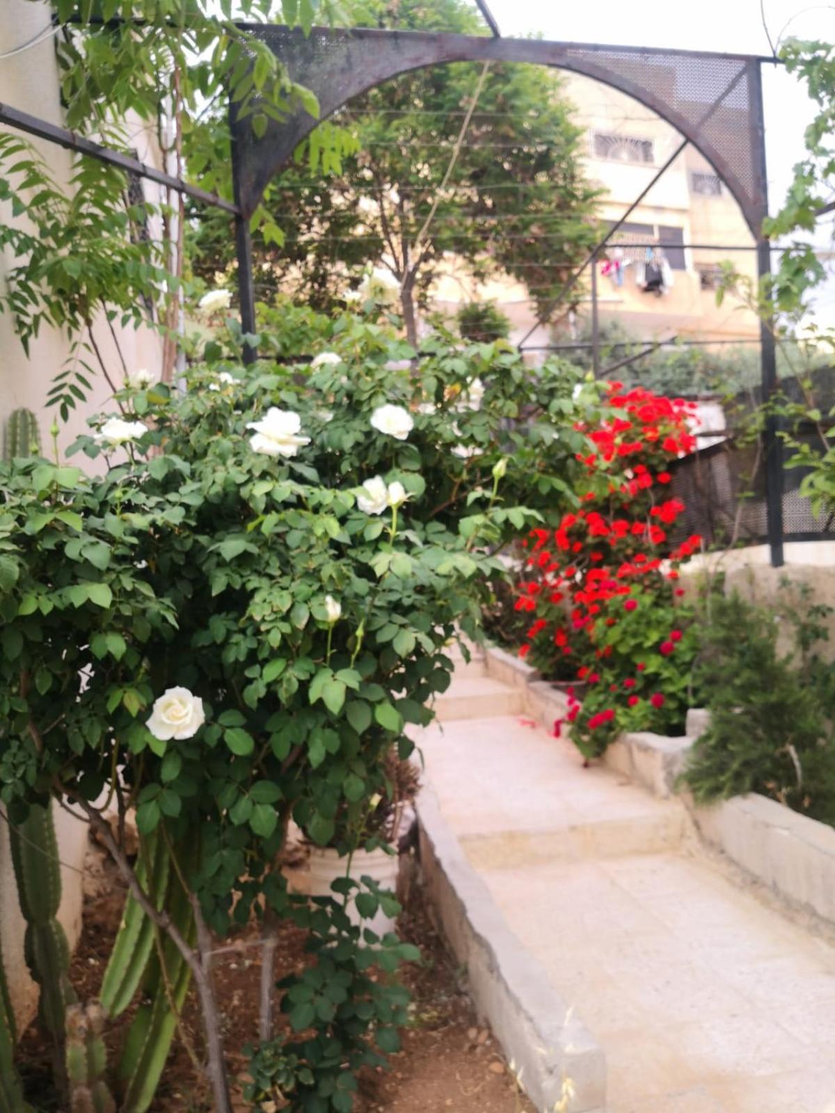 Apartment White Tulips الزنبقة البيضاء Jarash