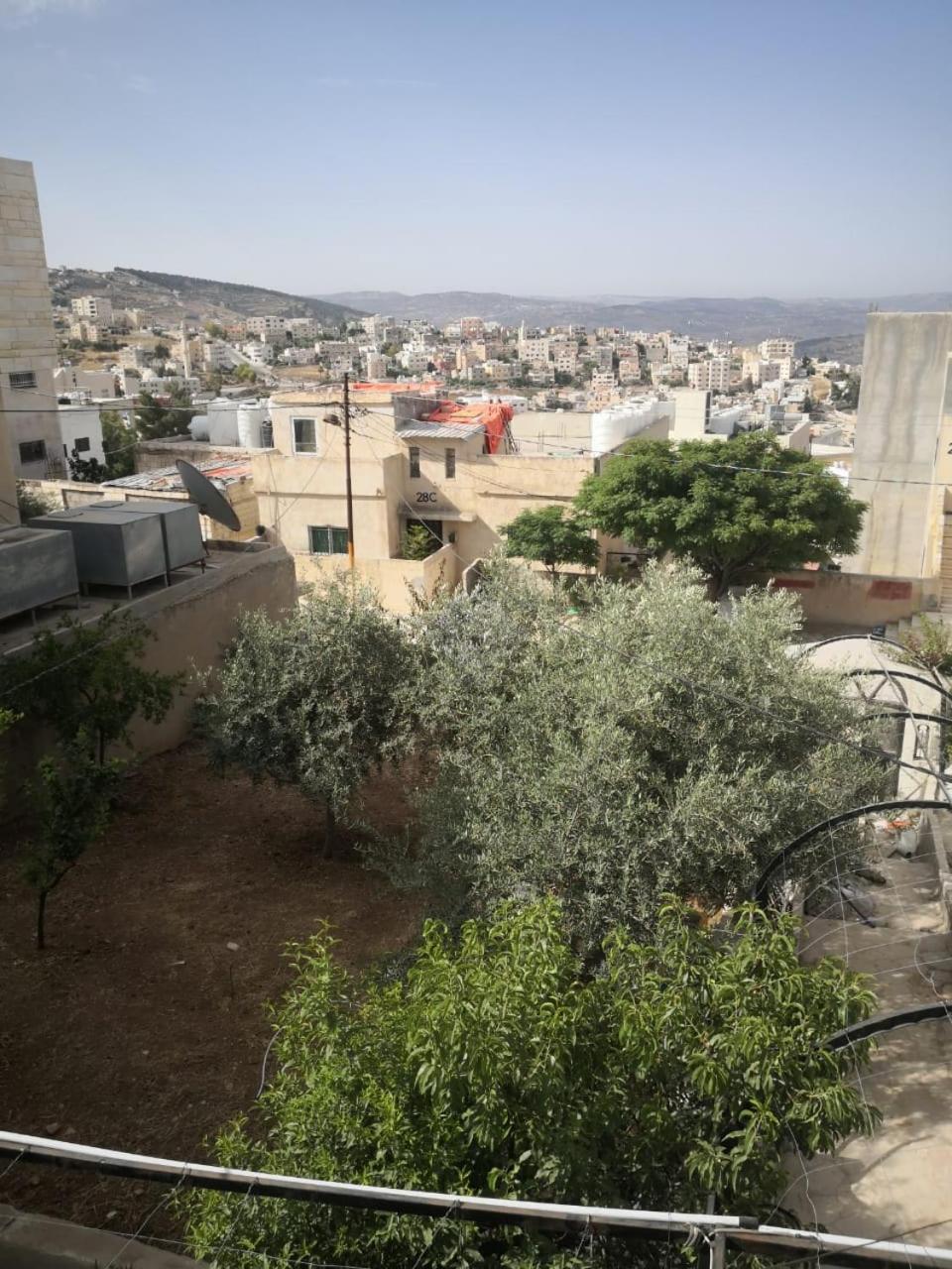 Apartment White Tulips الزنبقة البيضاء Jarash
